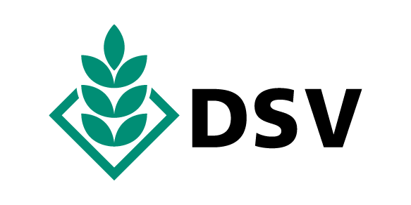 DSV